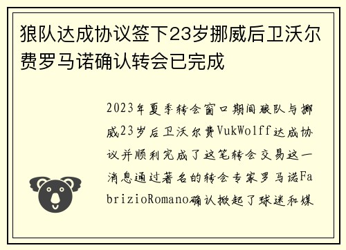 狼队达成协议签下23岁挪威后卫沃尔费罗马诺确认转会已完成